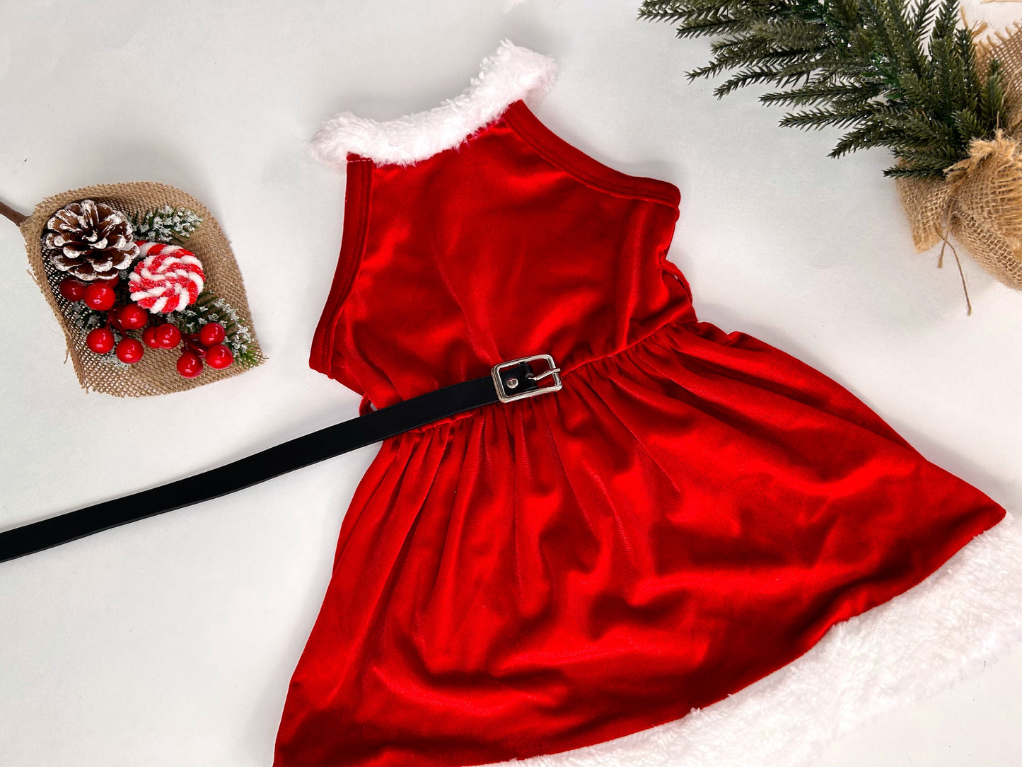 Alice Christmas Dress